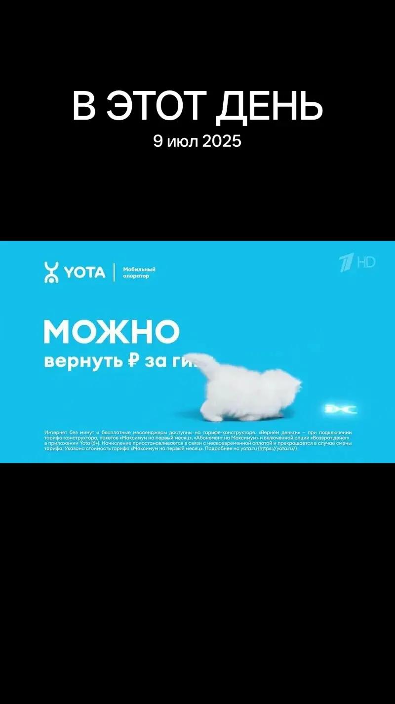 @собака кулибяка