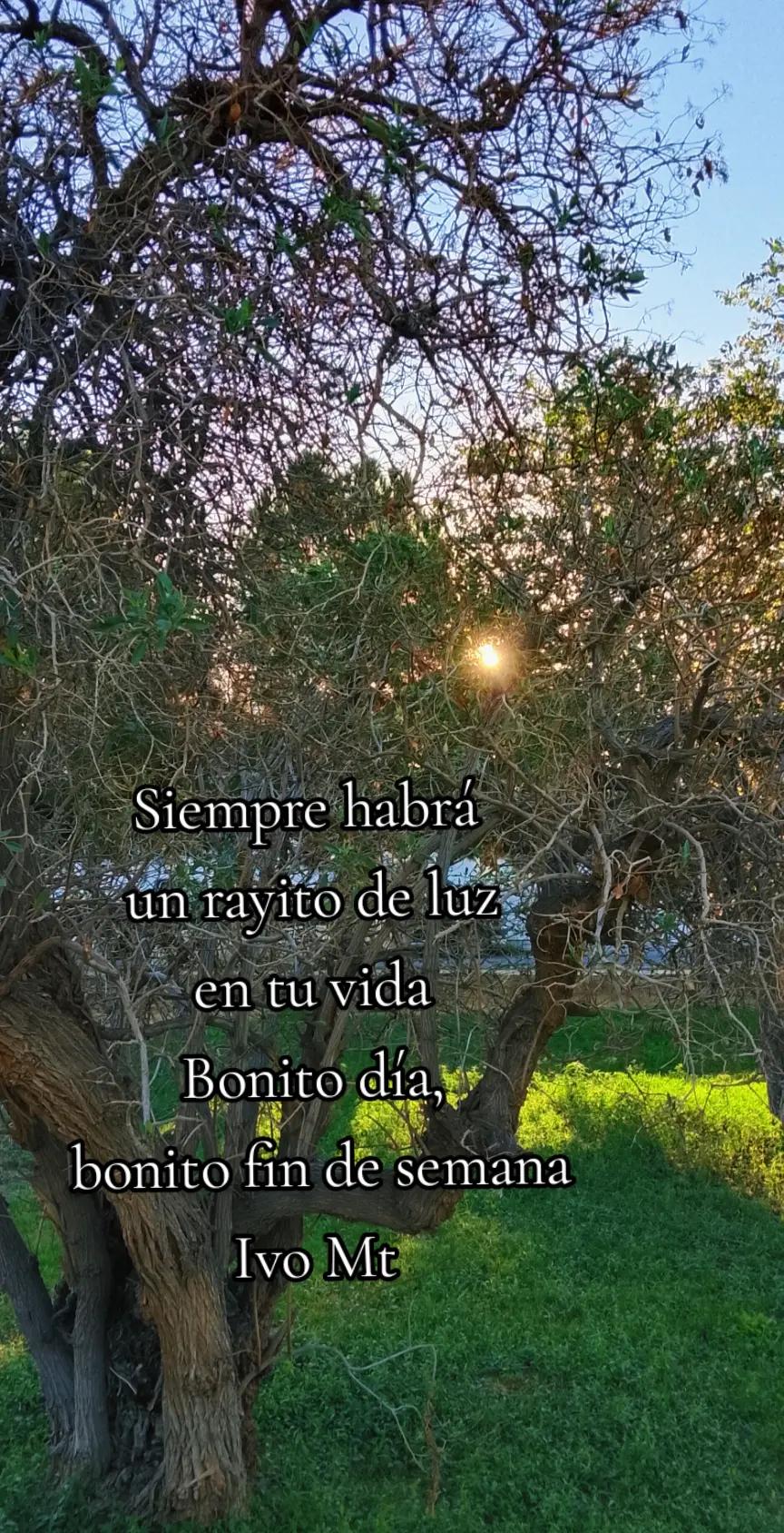 @Ivo Mt