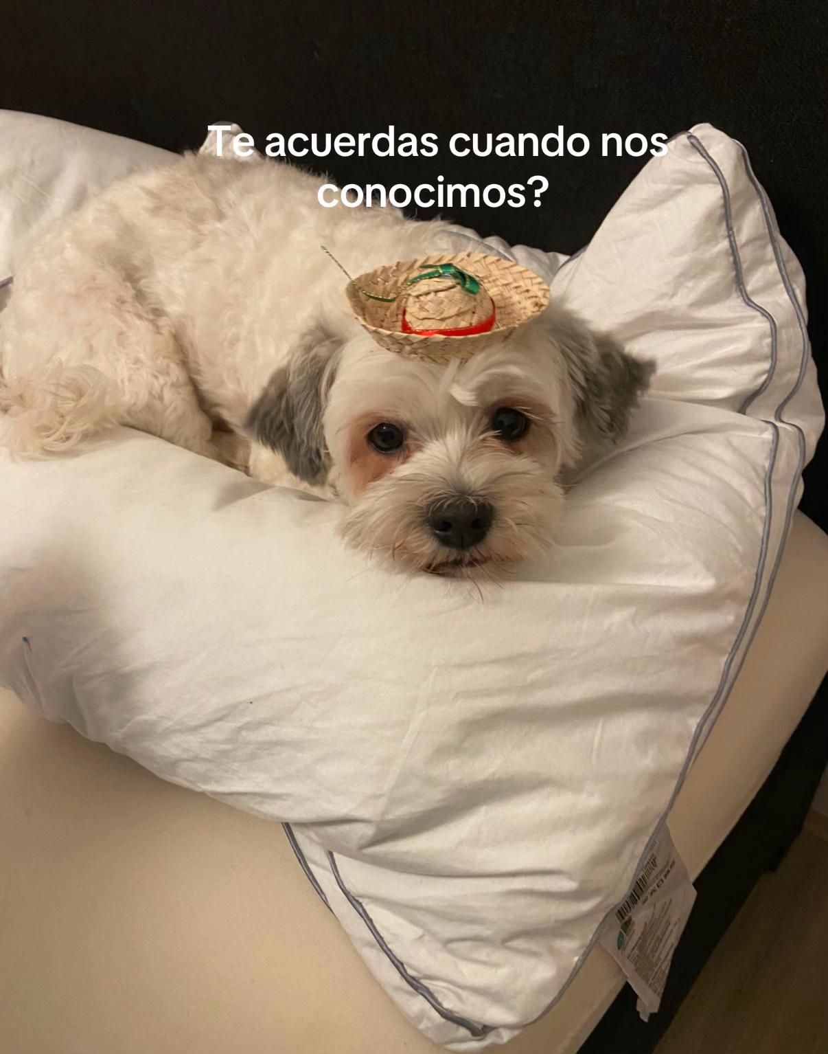 @emilybolivars
