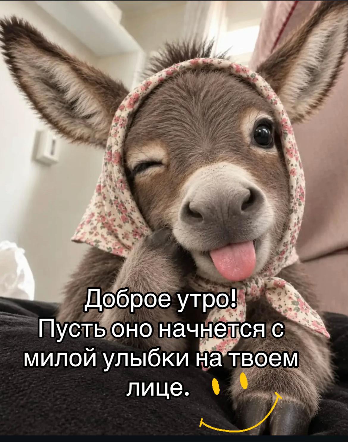 @Юлия