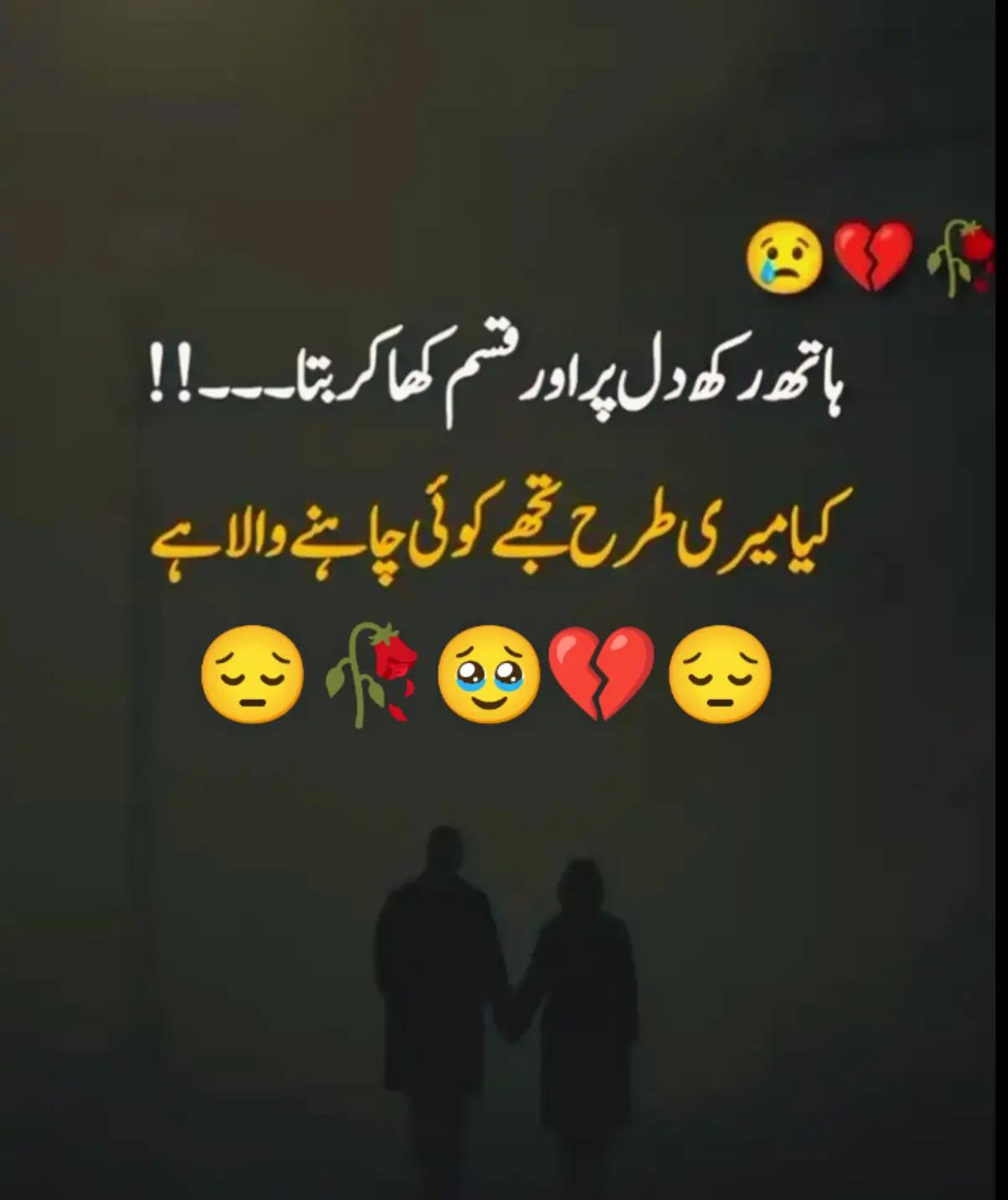 @Hassan Hussain💞