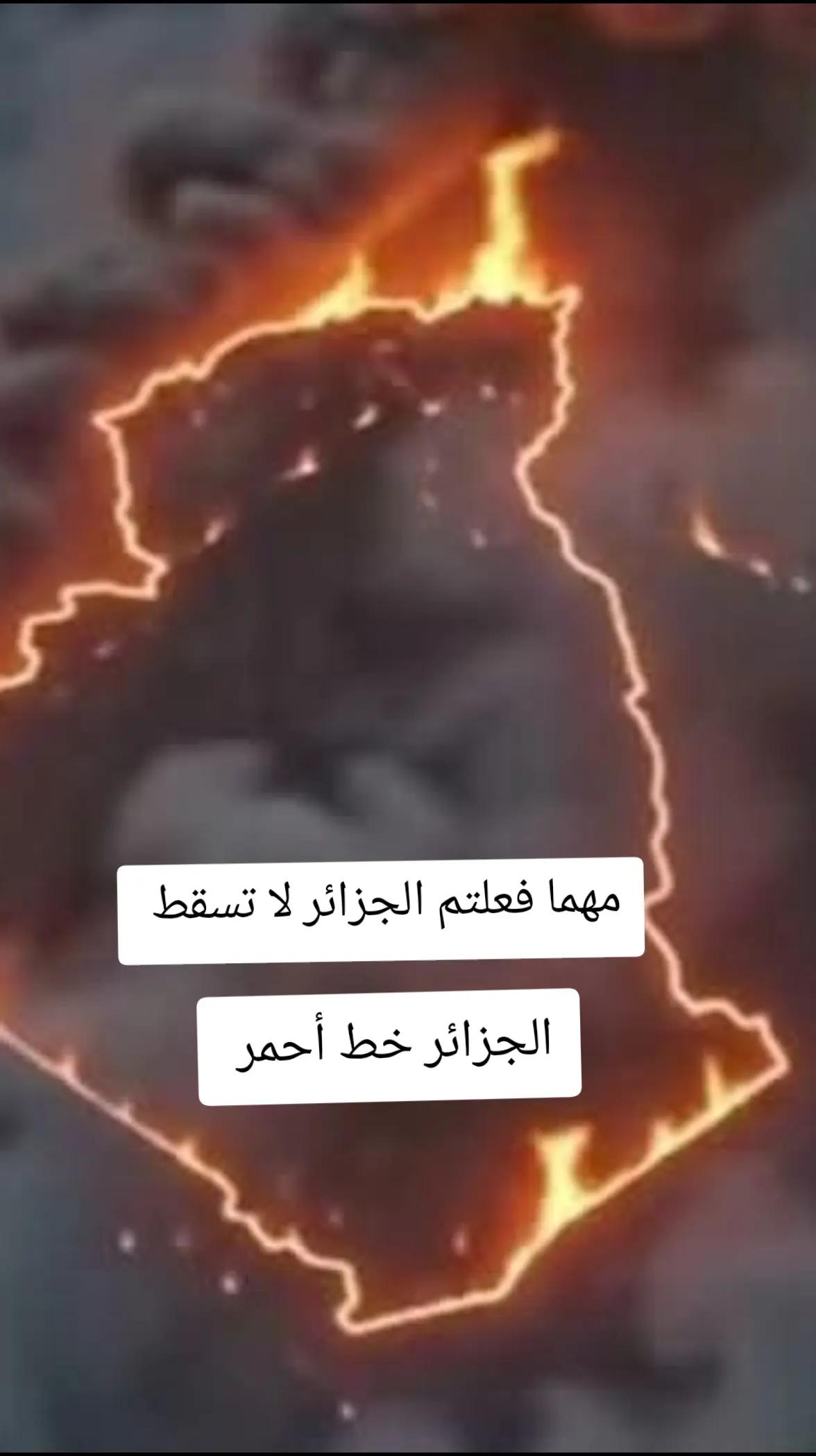 @زروالي _ سعيد 🇩🇿