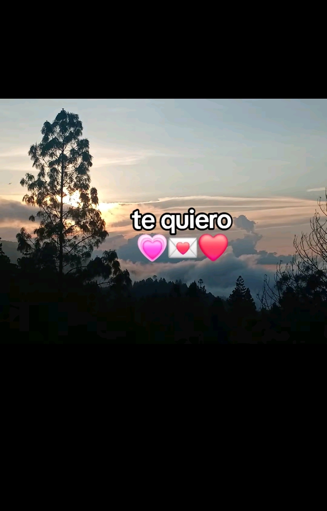 @†┆FERNANDO ×͜×
