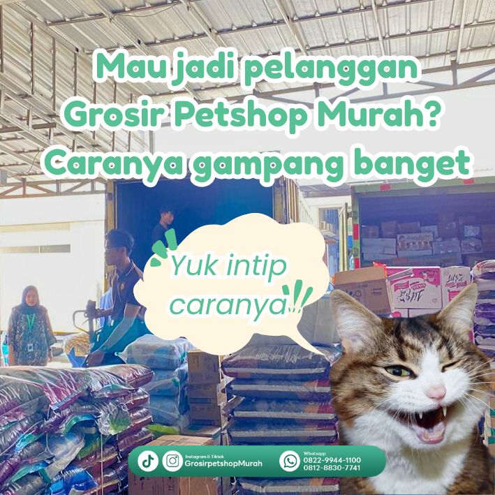 @Grosir Petshop Murah