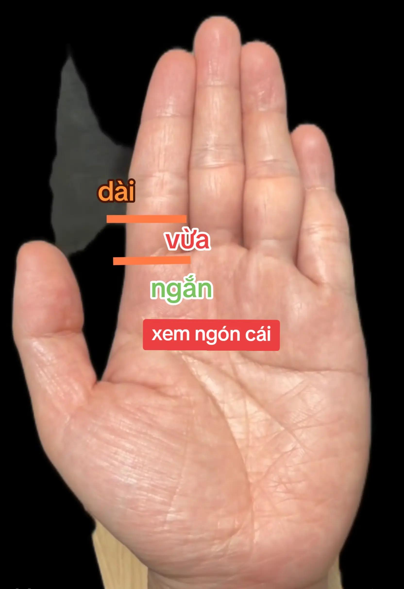 @Nhân Tướng Hiểu Mình