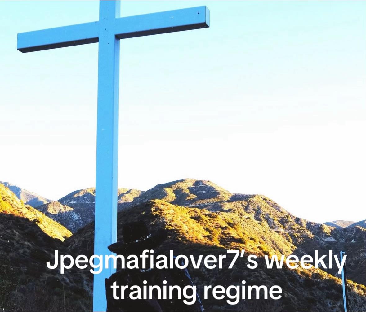 @jpegmafialover
