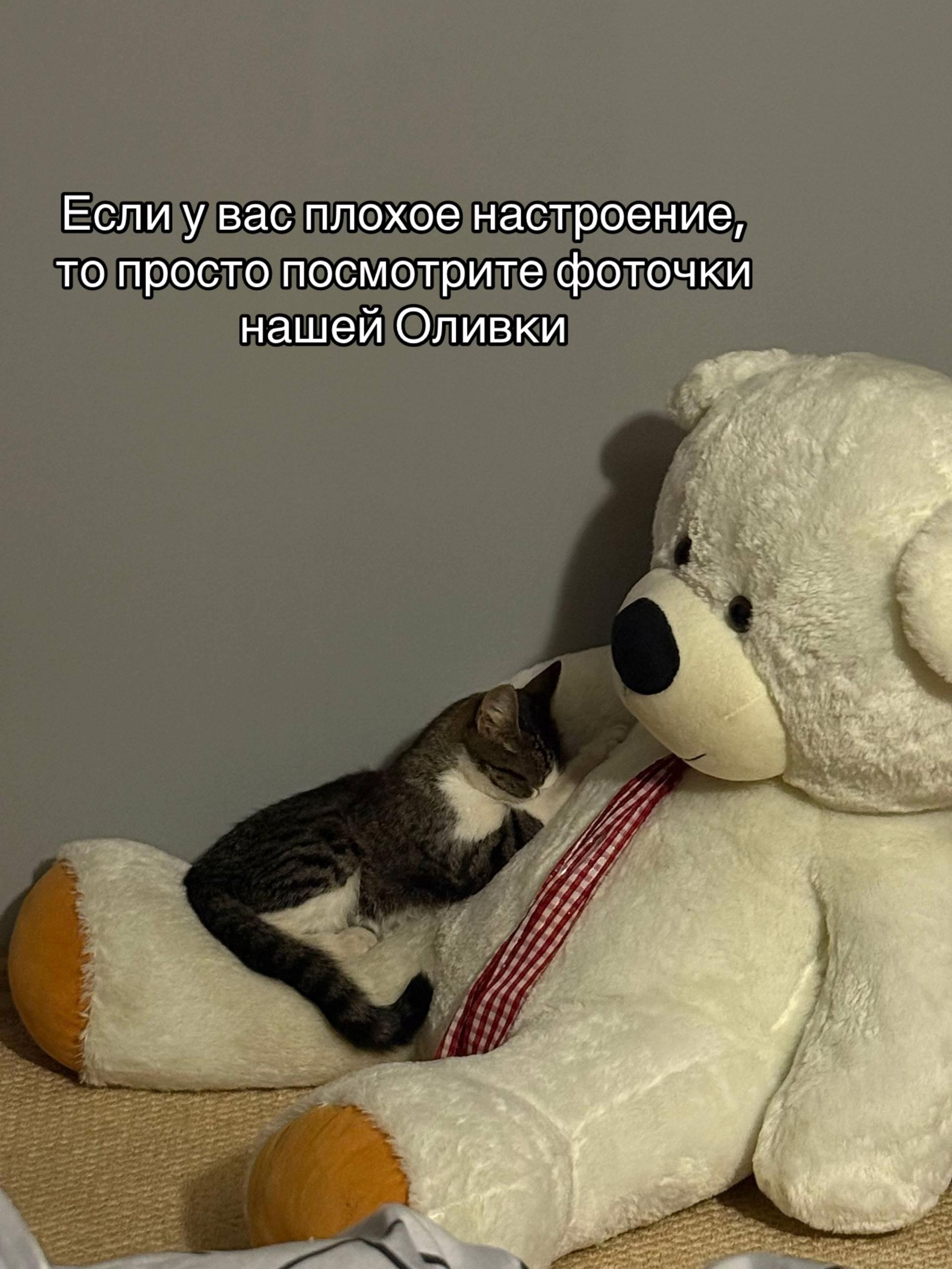 @Lina_bounty