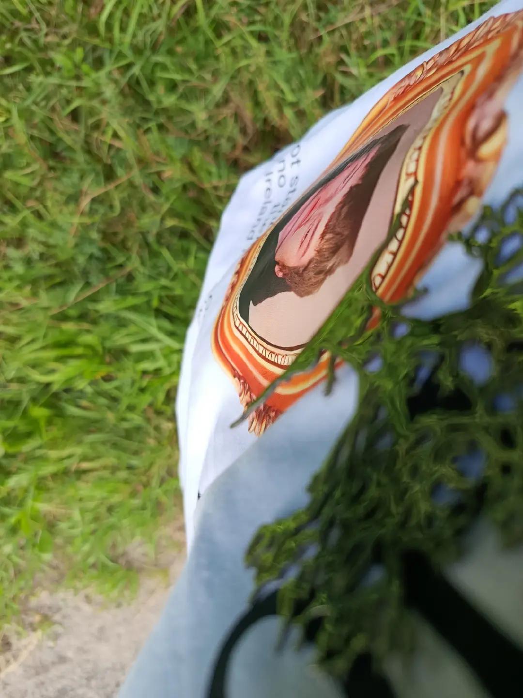 @ликорис ひ
