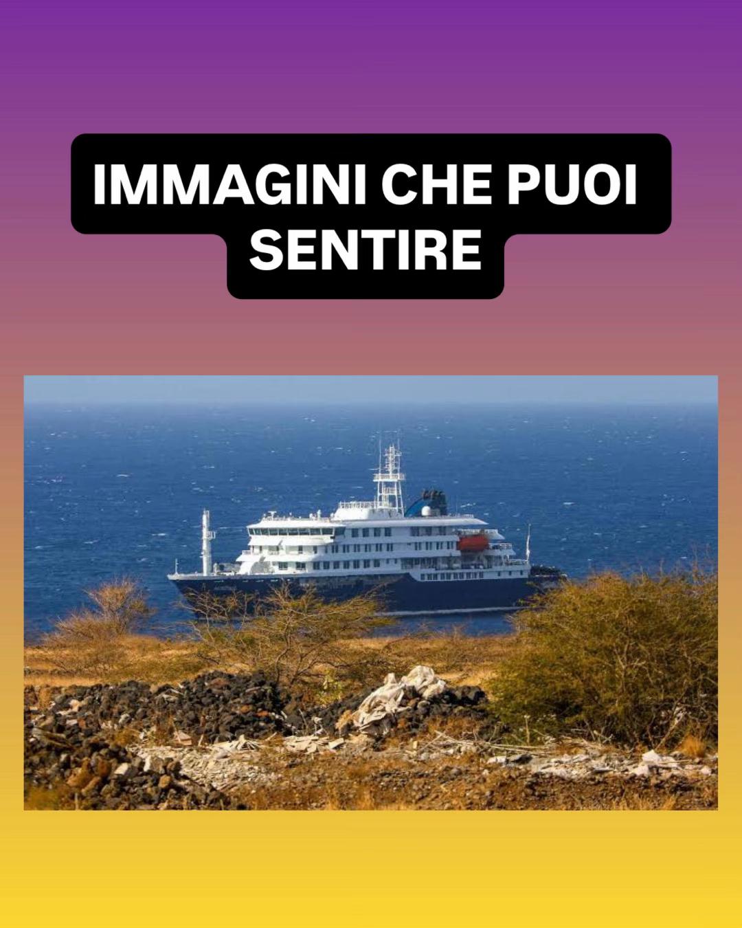 @Sapore di Trash