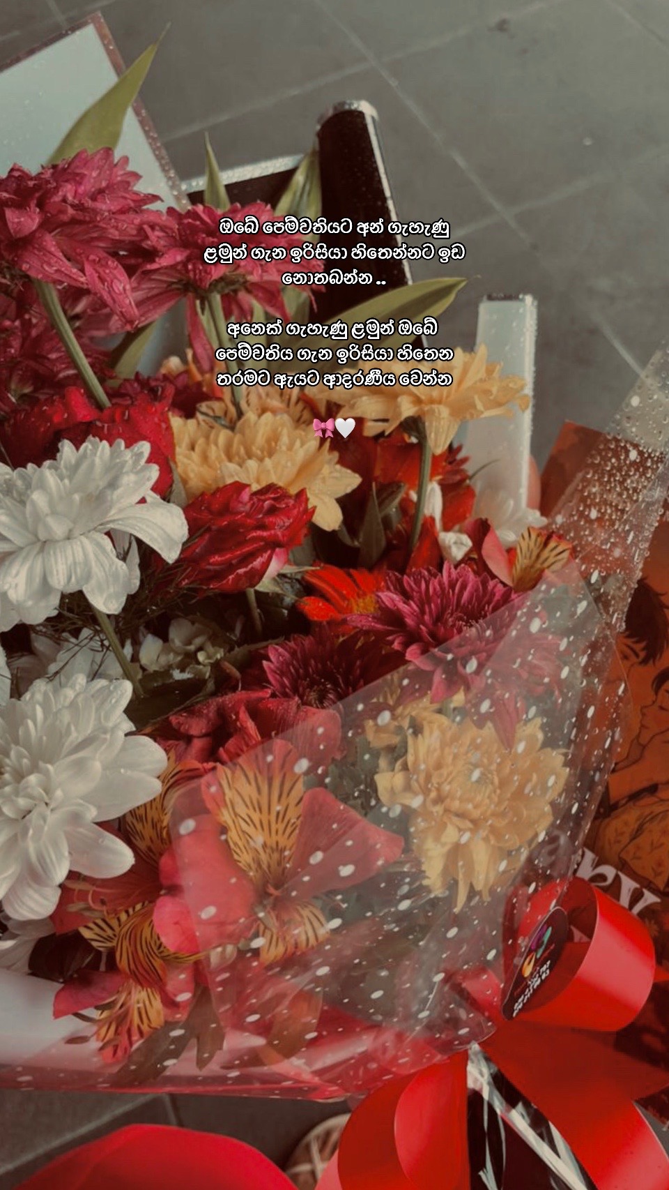 @𝗗 𝗢 𝗥 𝗡 𝗜 𝗦 𝗛