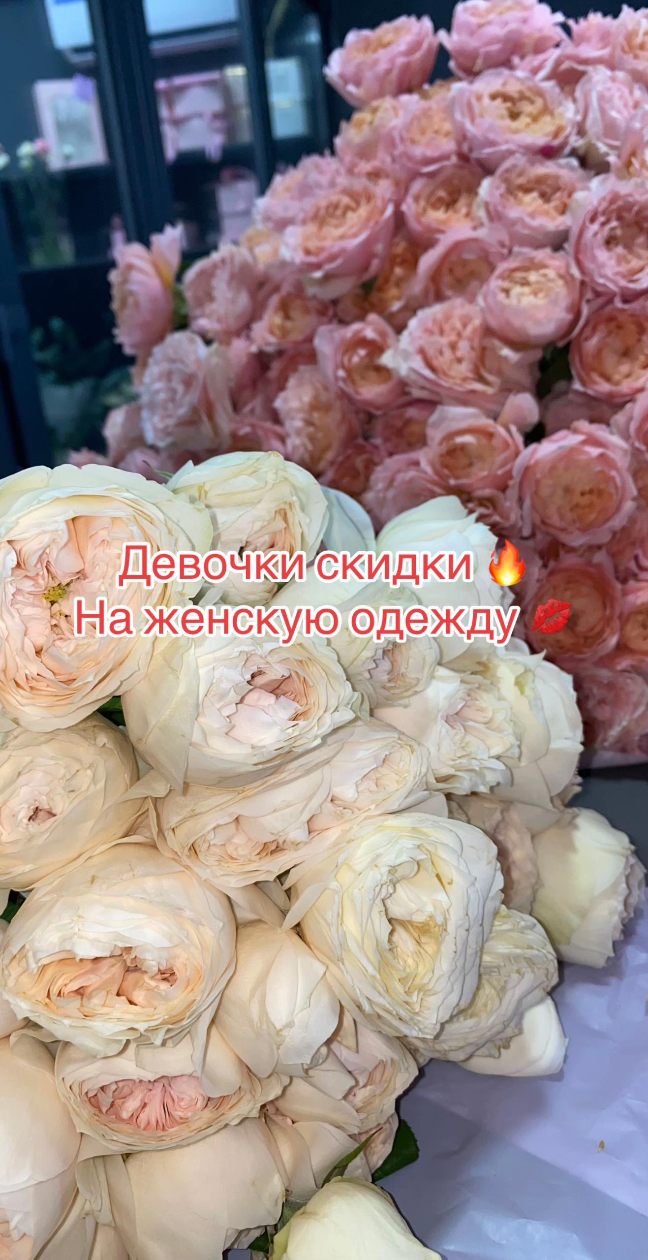 @an.collection