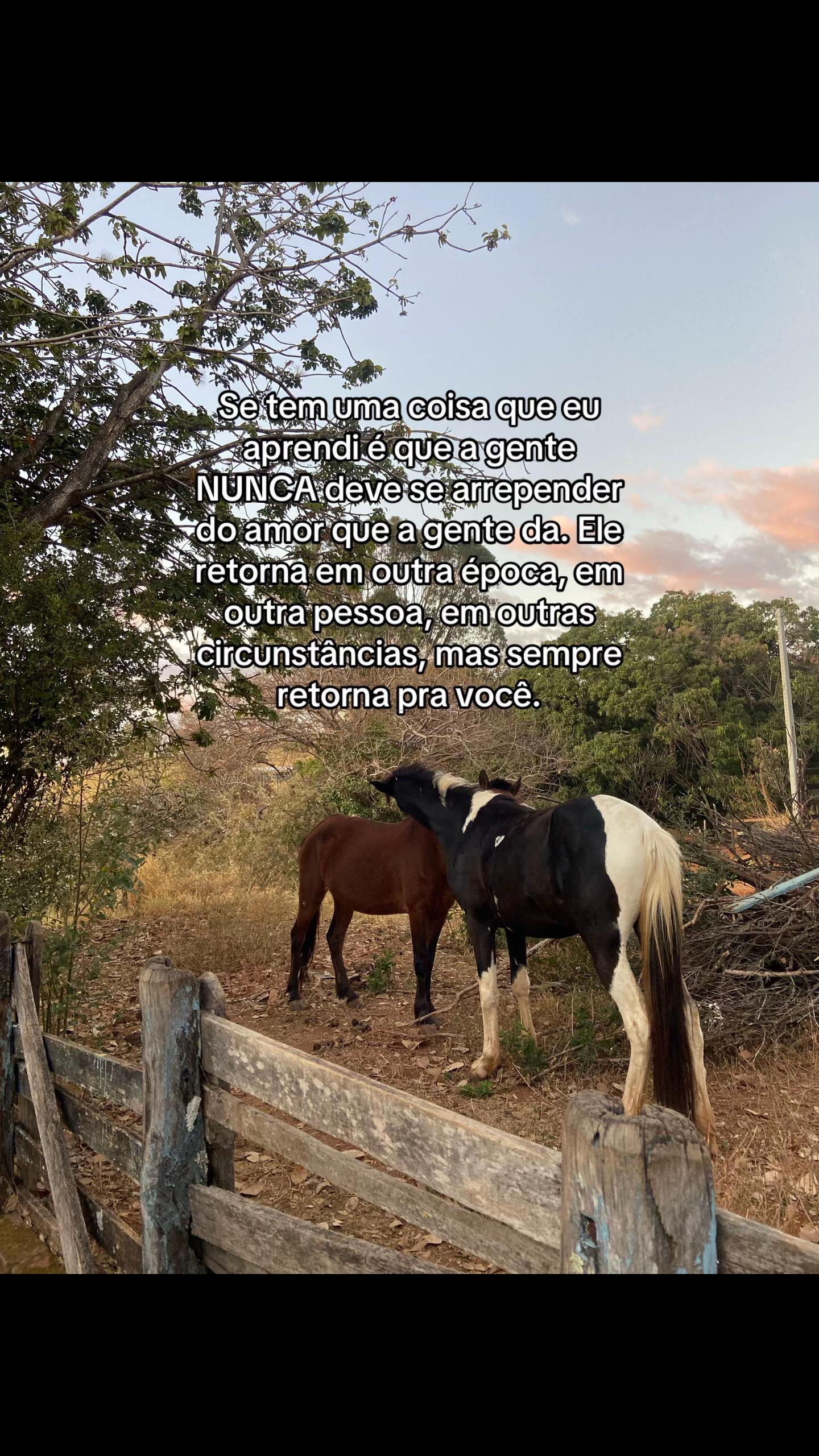 @Millena Vieira