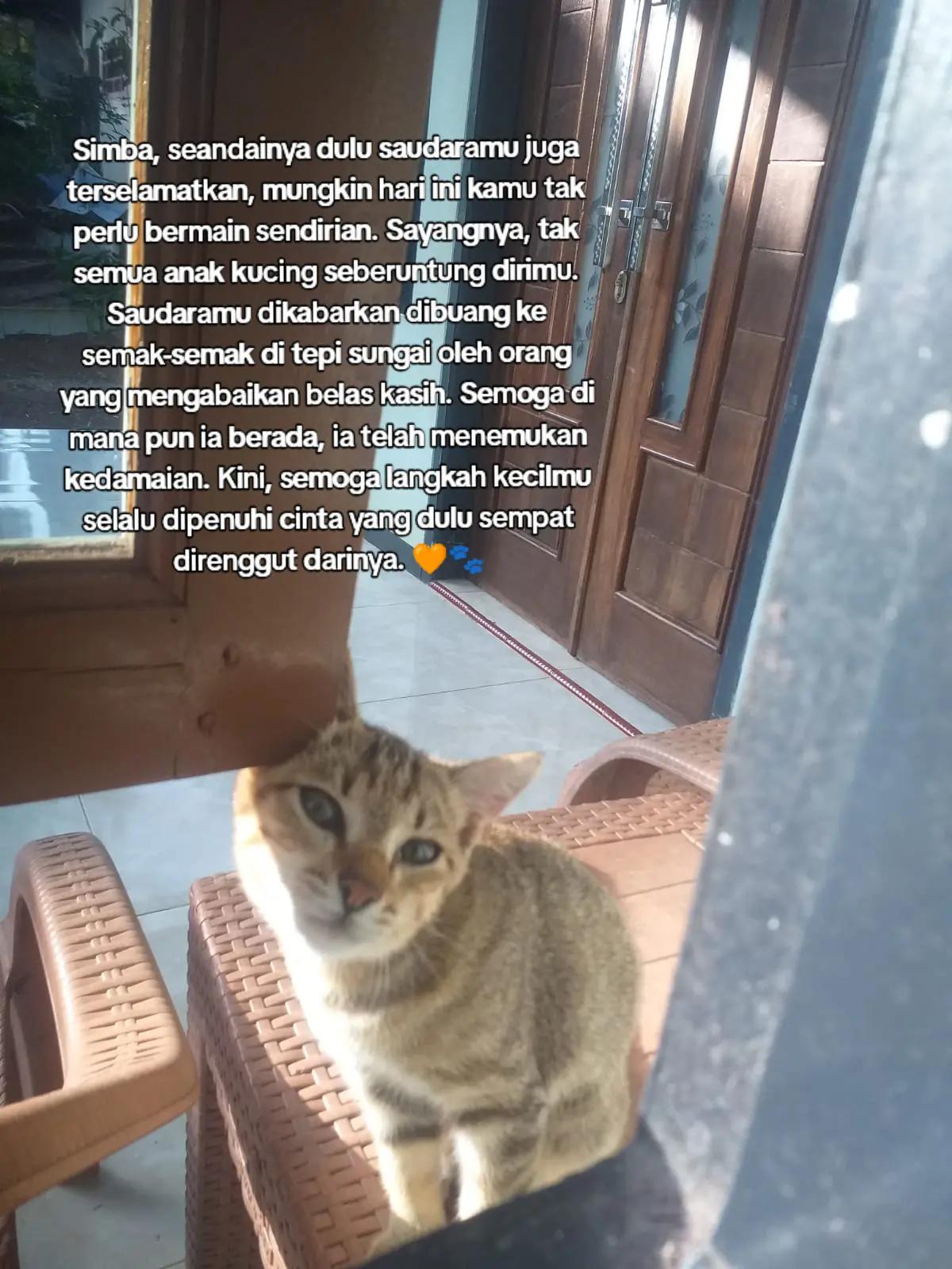 @Lina herlina