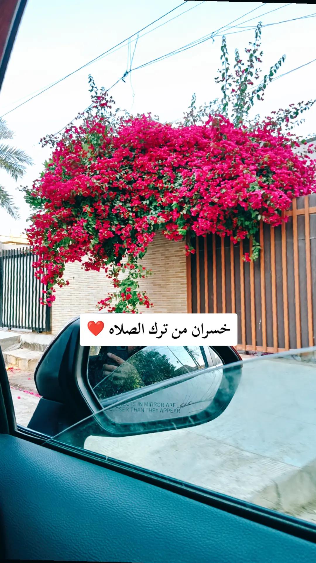 @perfect ✨🤎