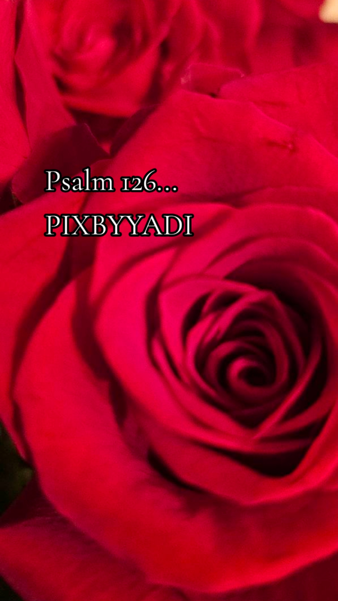 @Yadi