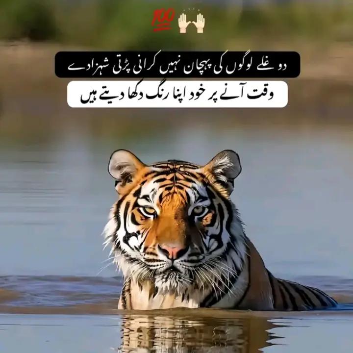 @👈ہائے جوانی رول گئی 🥺