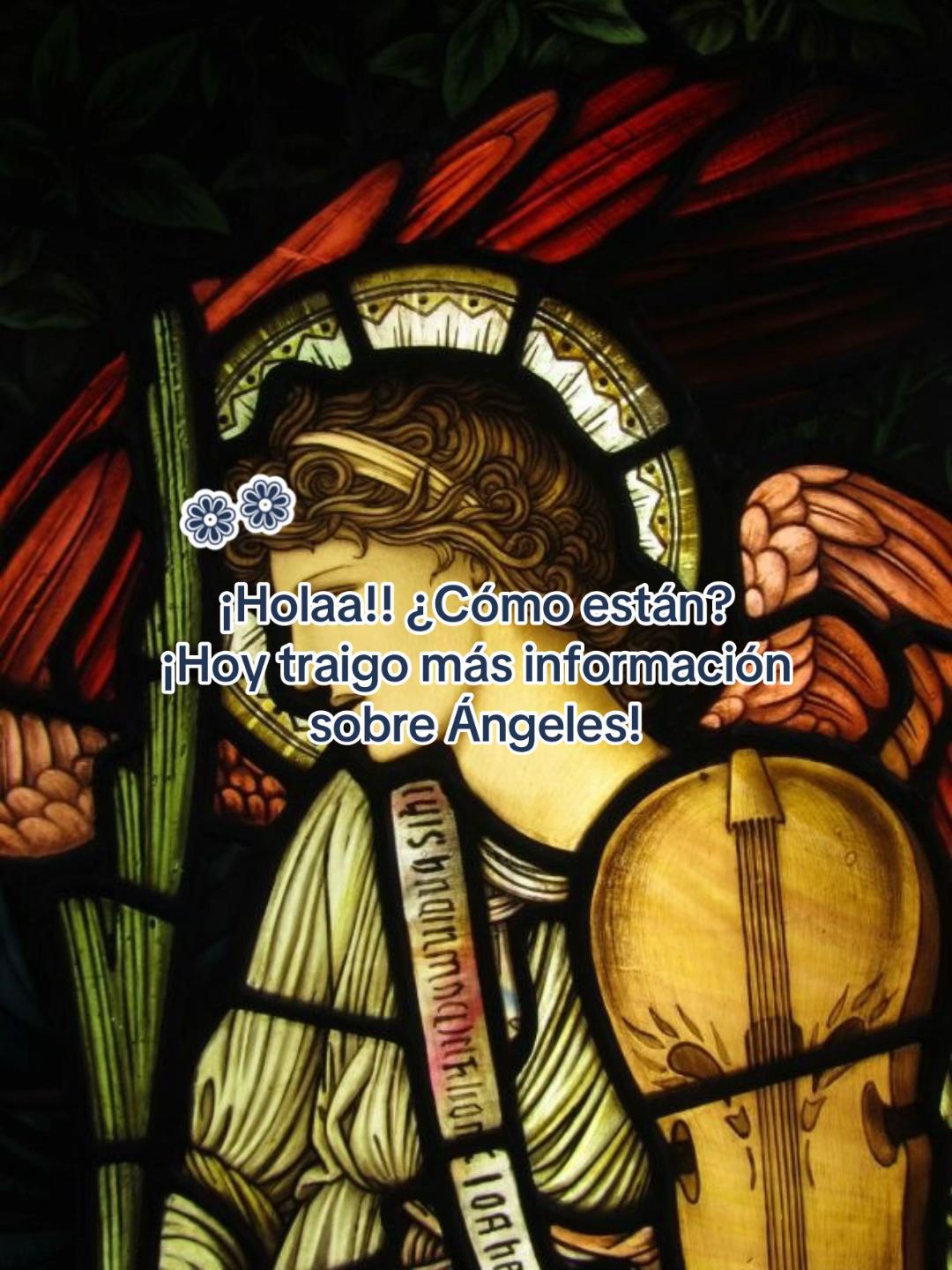 @✝︎ ˖𓍢ִִ໋𝐼𝑣𝑎𝑛𝑛𝑖𝑒܁˖🇻🇦