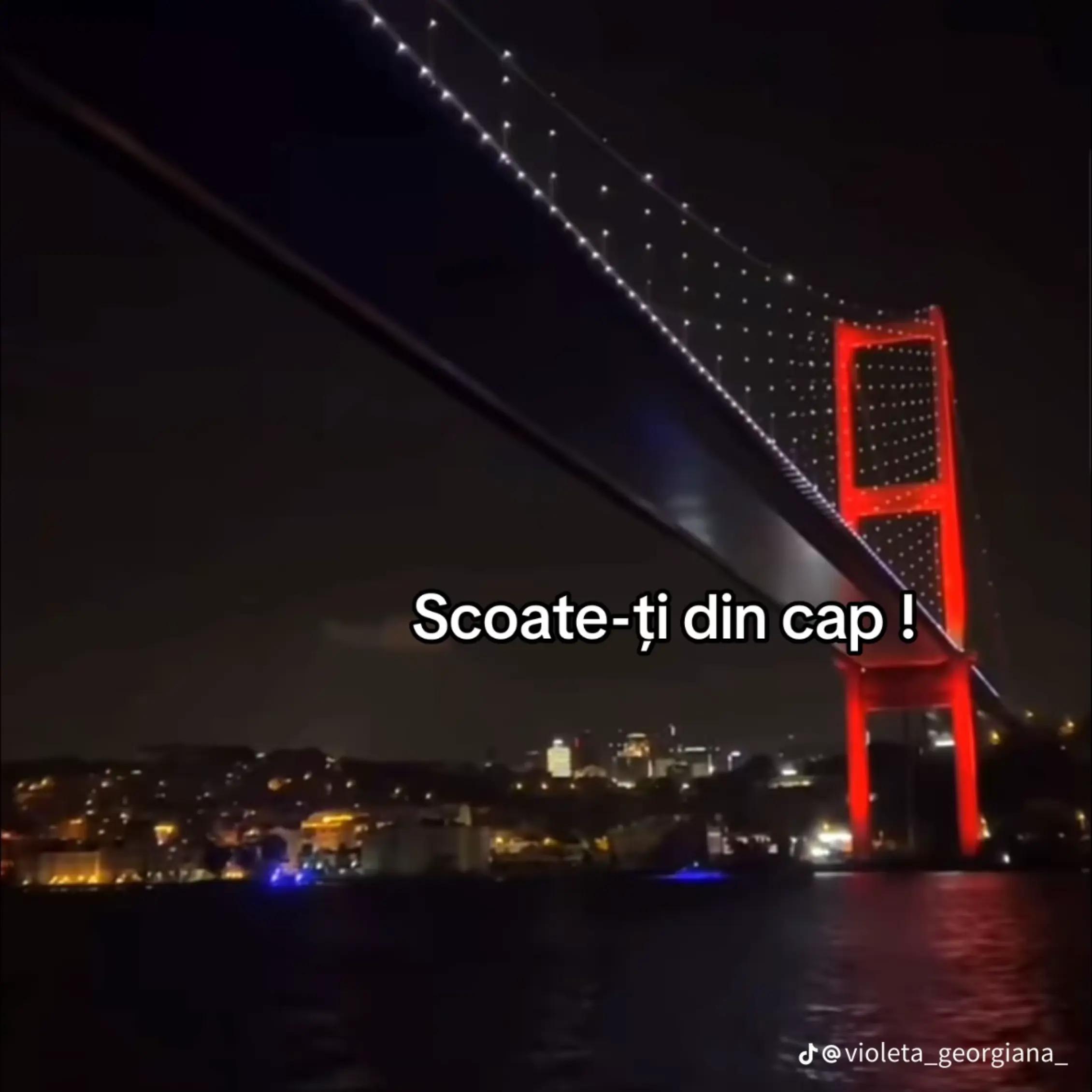 @Elena