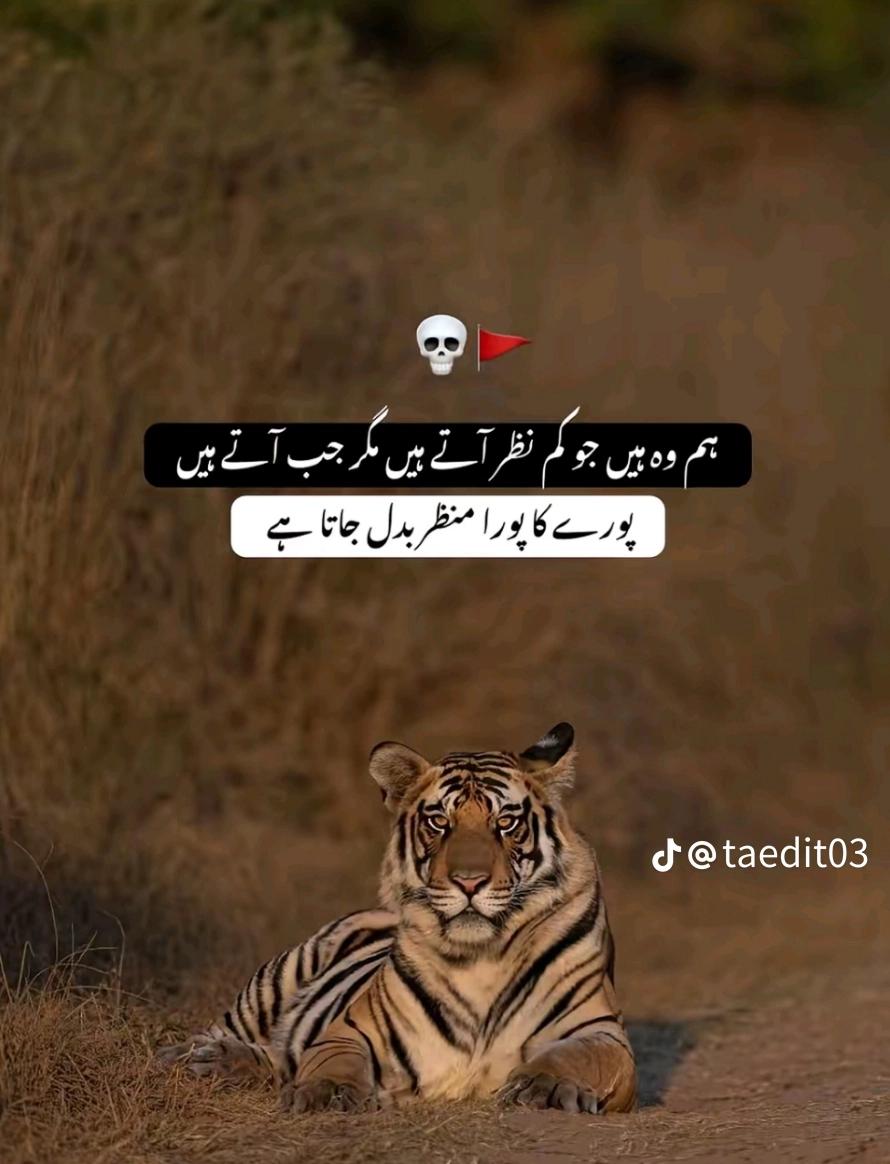 @چھوٹا بھٹی AS🥰🥰