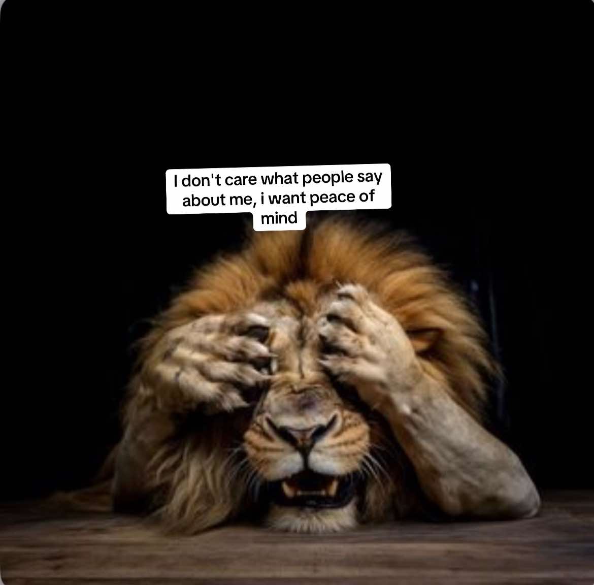 @𓆩الهام افغان باز𓆪 🦅🇦🇫
