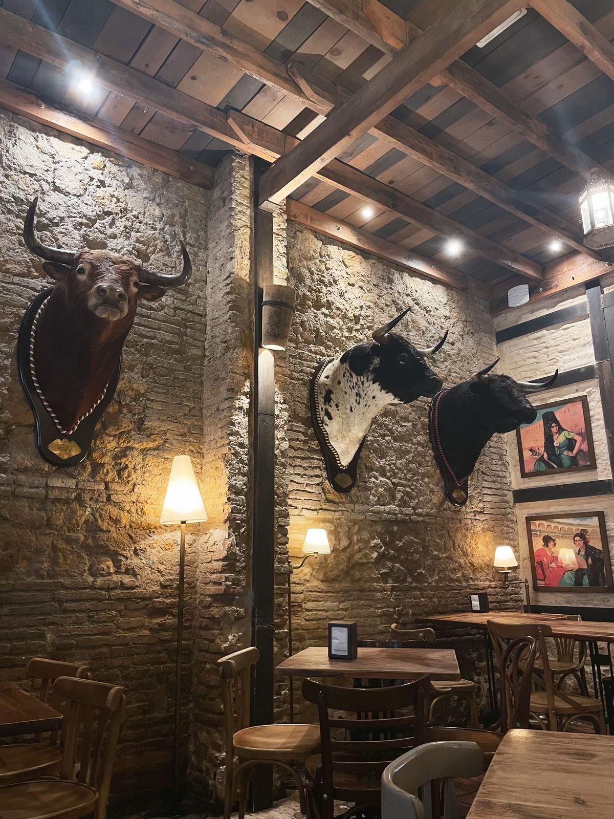 @taxidermiadecorperu