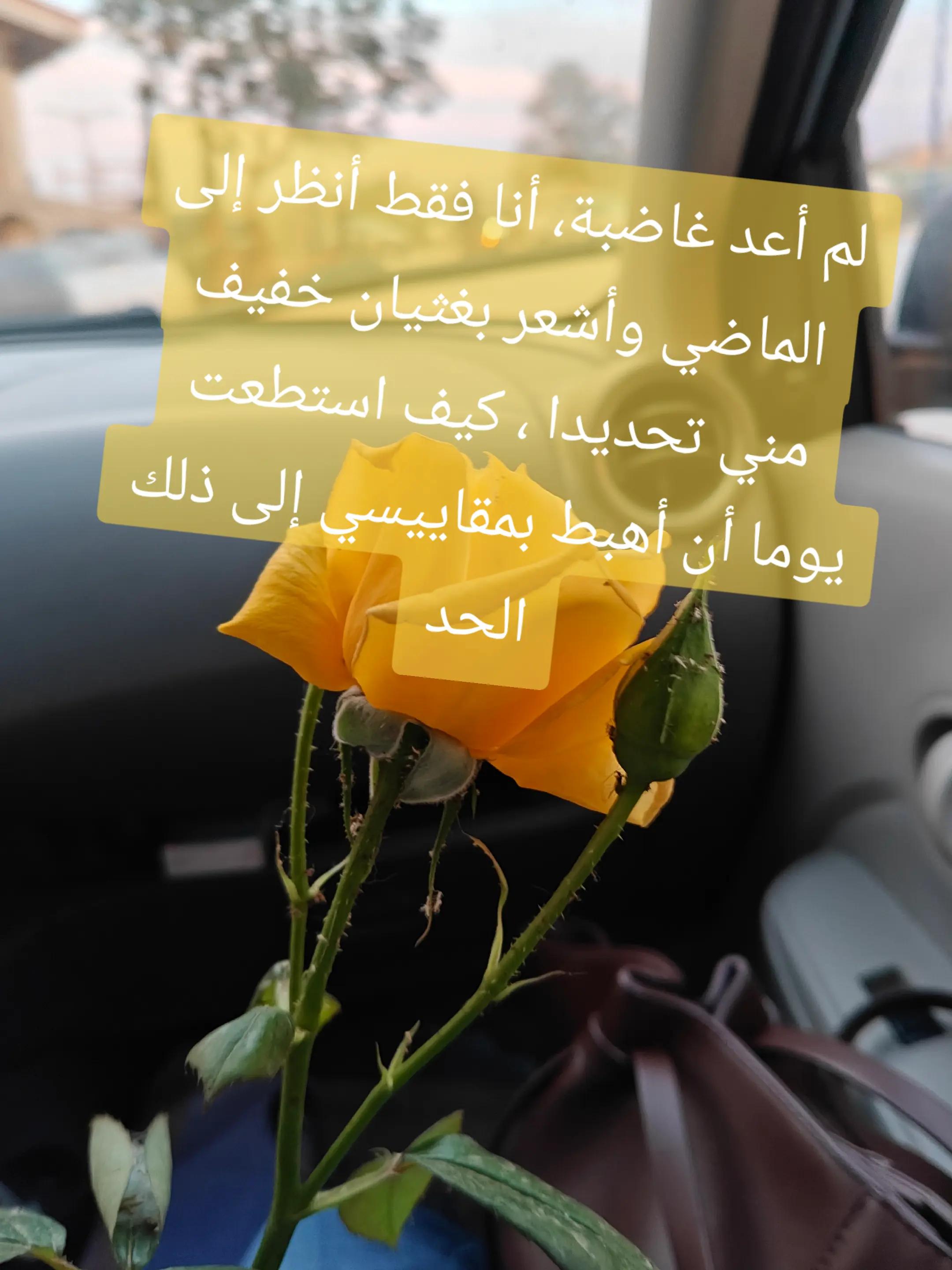 @Amira ๐ค