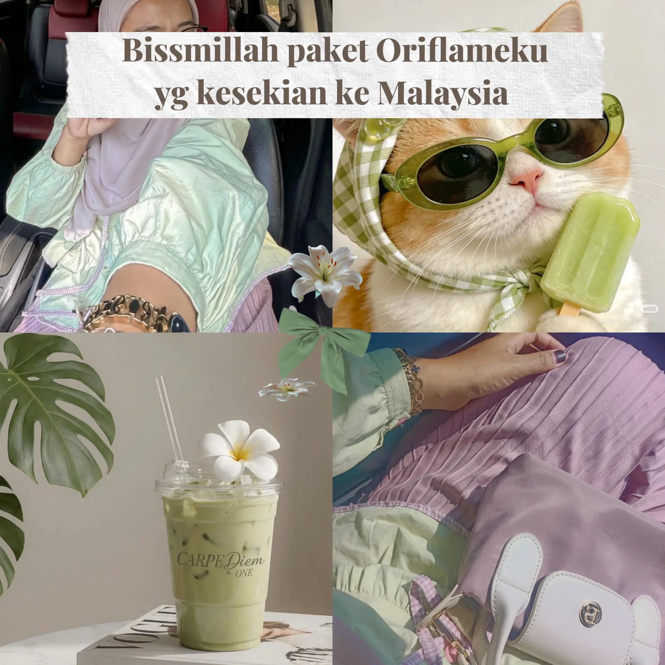 @elismimi 𐙚˖˚