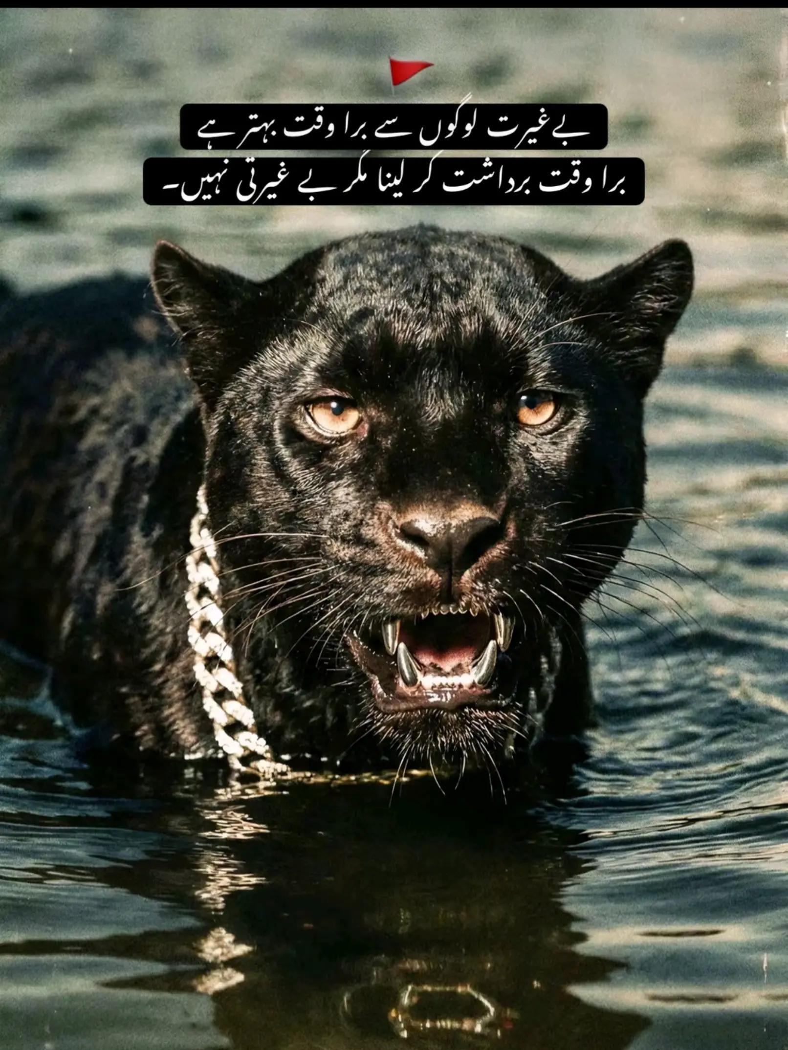 @👑☠️RaJpOoT❤️🔥گجرات آلا☠️👑