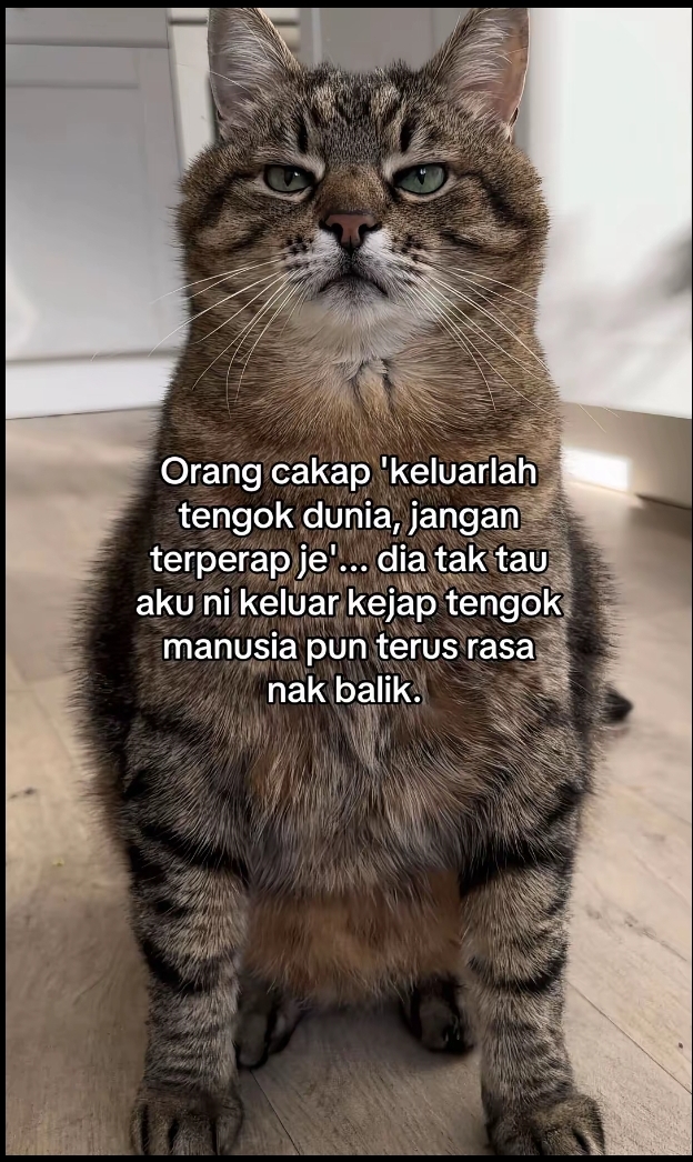 @BULAN_MOON