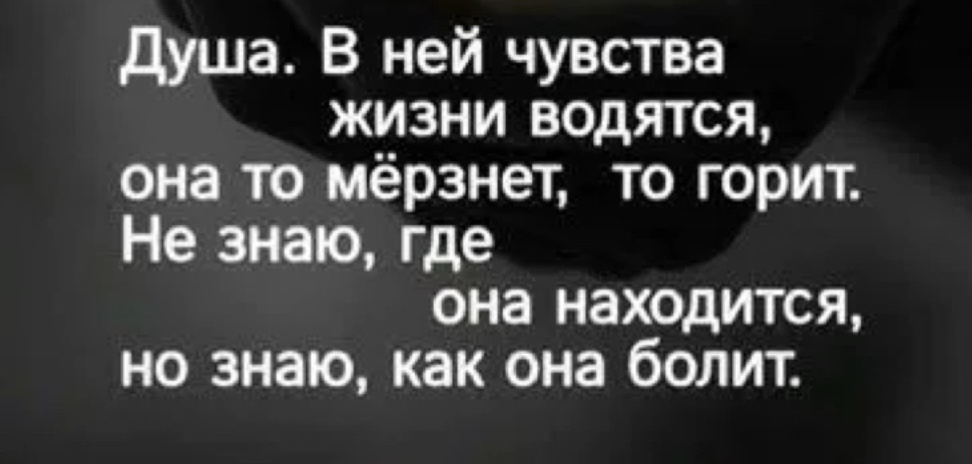 @Mahmudova
