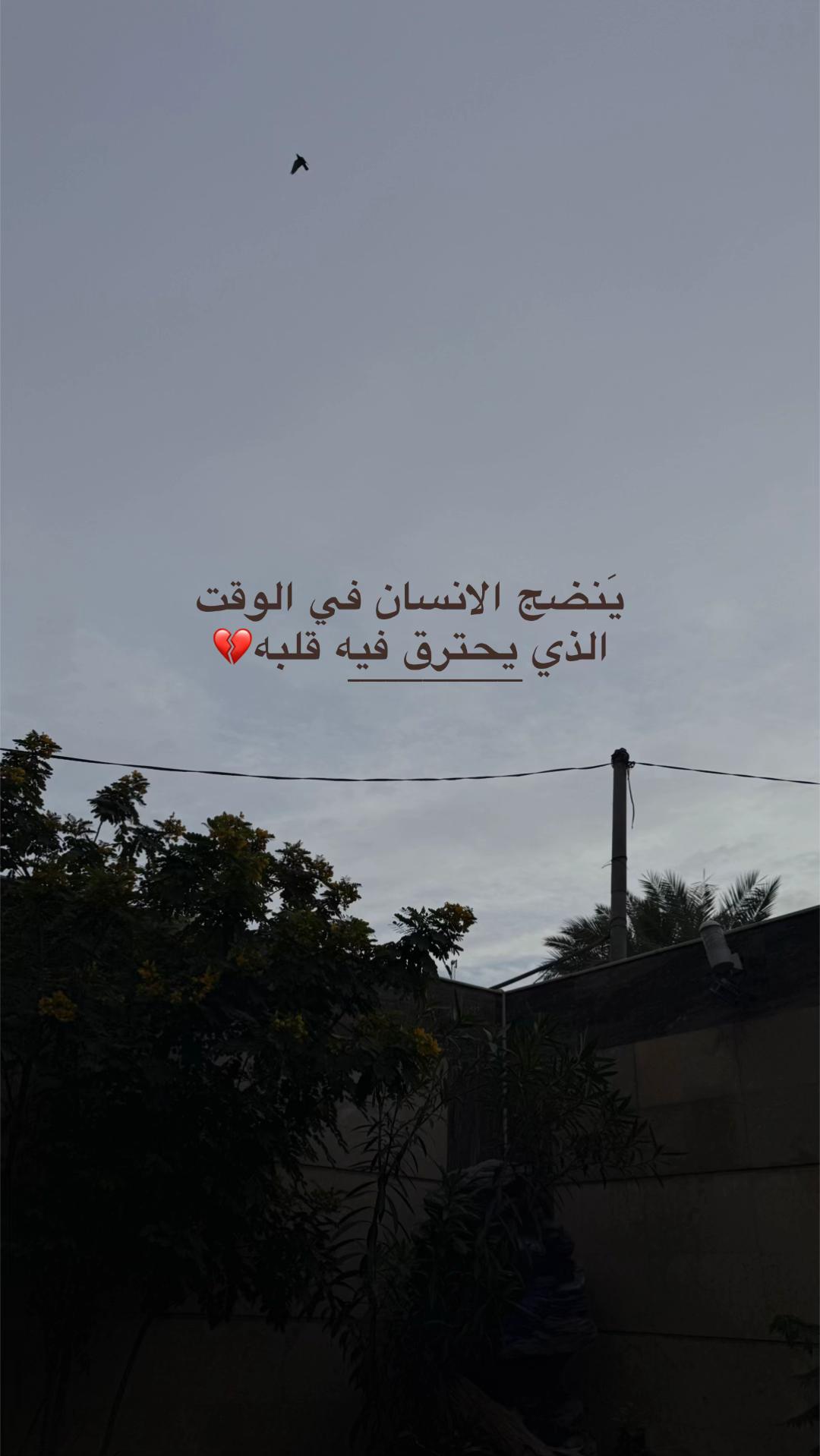 @𓄼 🍇ْ زۅزايـــــهۃ 𓄹.