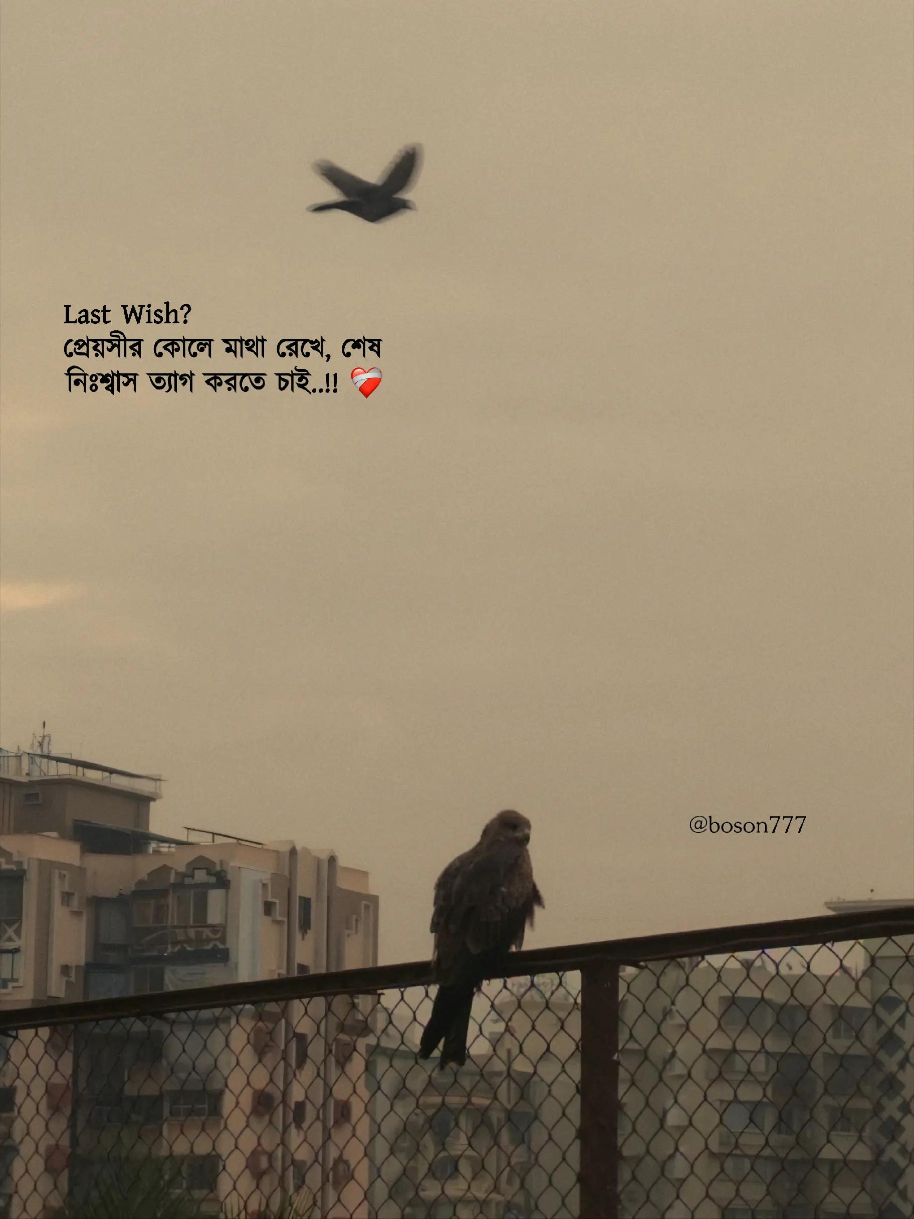 @ɴɪʀʀᴏ'ꜱ ʜᴜʙʙʏ 🔐🤍