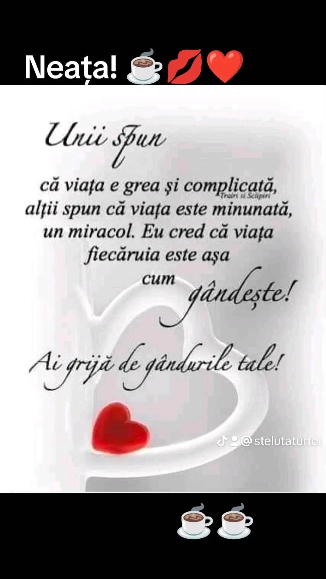 @stelutaturtoi