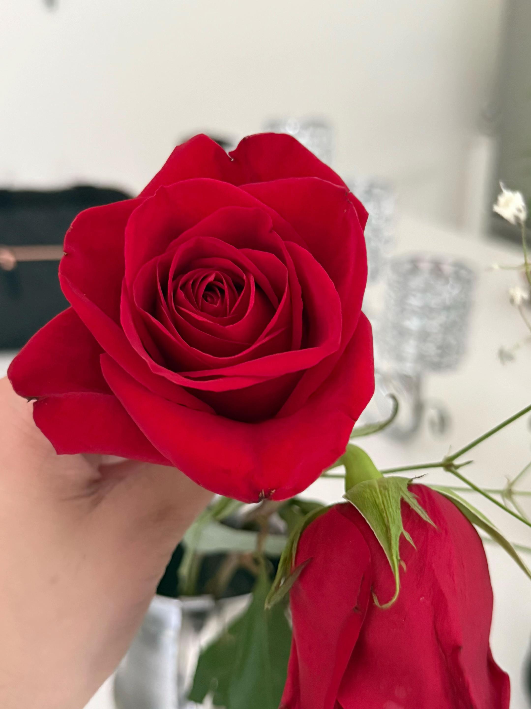 @shopsipshare