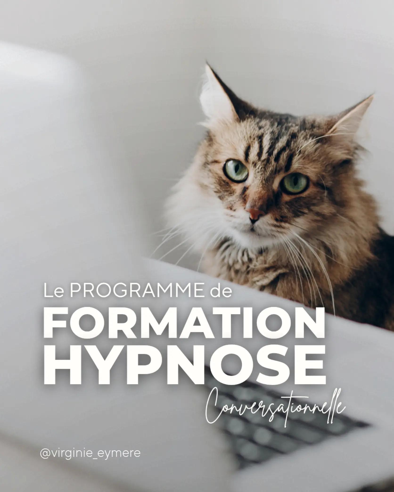@Virginie Formation Hypnose