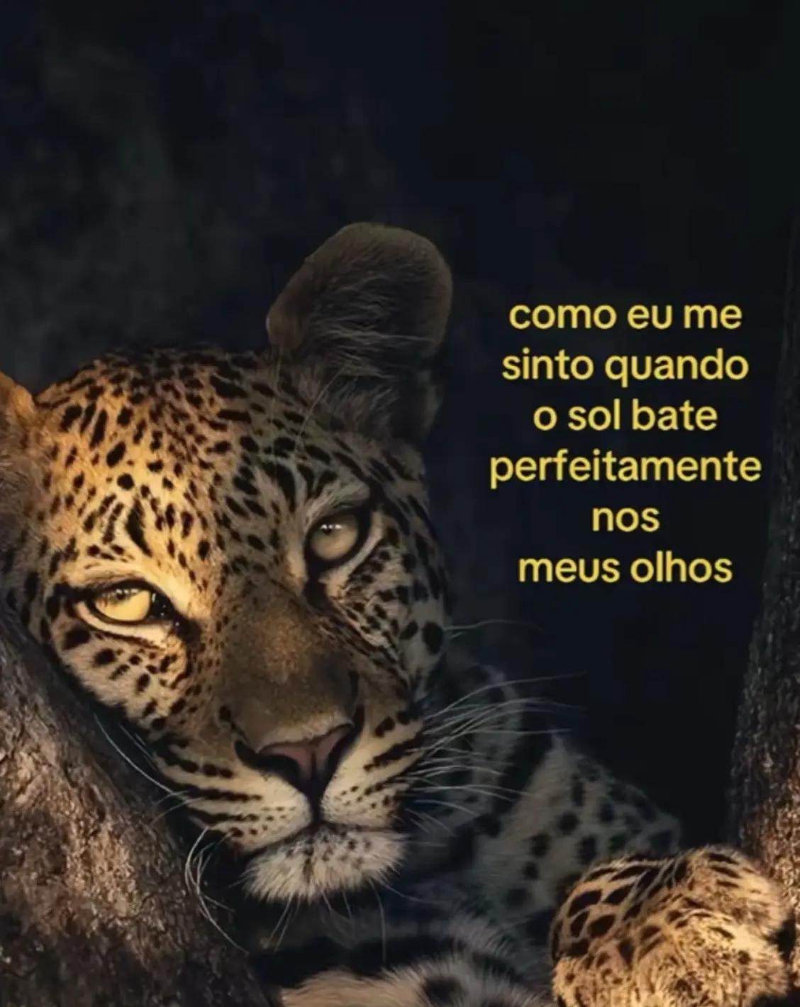 @estrelinha ⭐