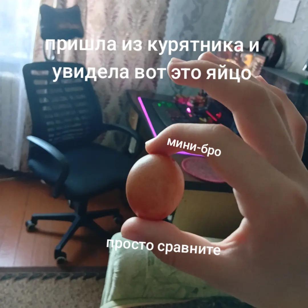 @✨Angel_animator🪽