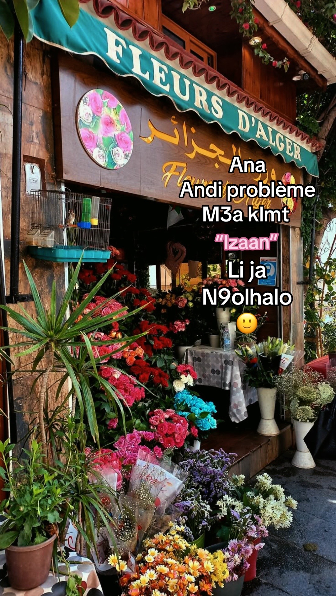 @شُّوشُّوٰ🪸
