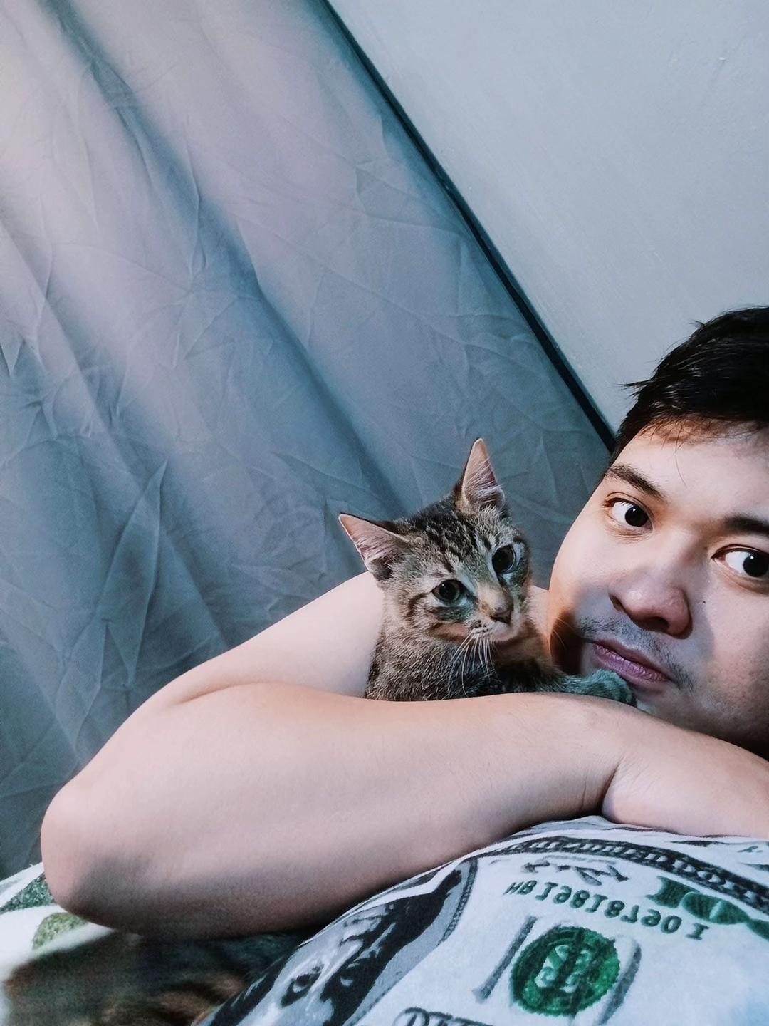 @TheCatFather