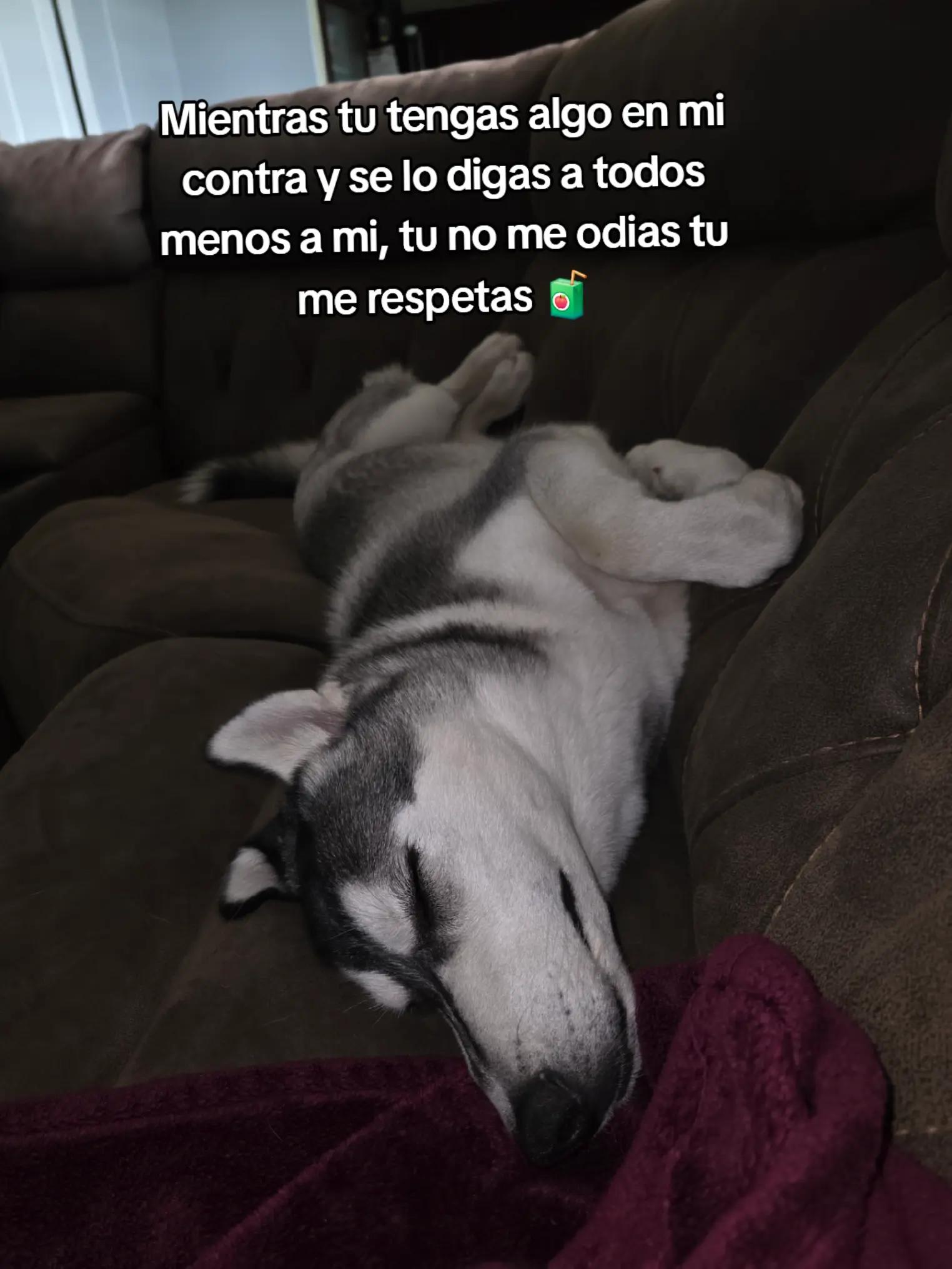 @✨️🖤🦈☆₦/₳☆🐺🦊🦂🖤✨️