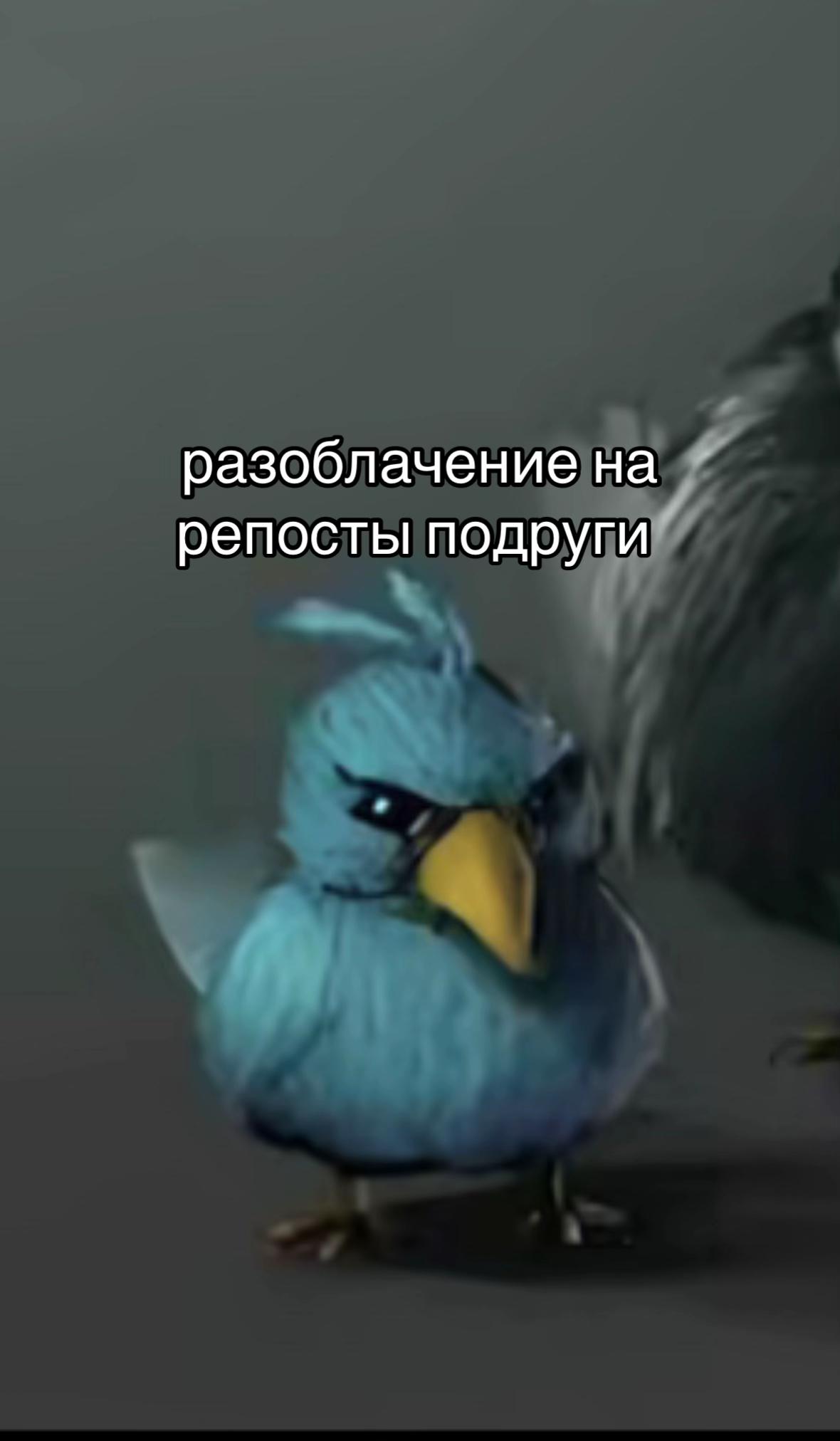 @jijik