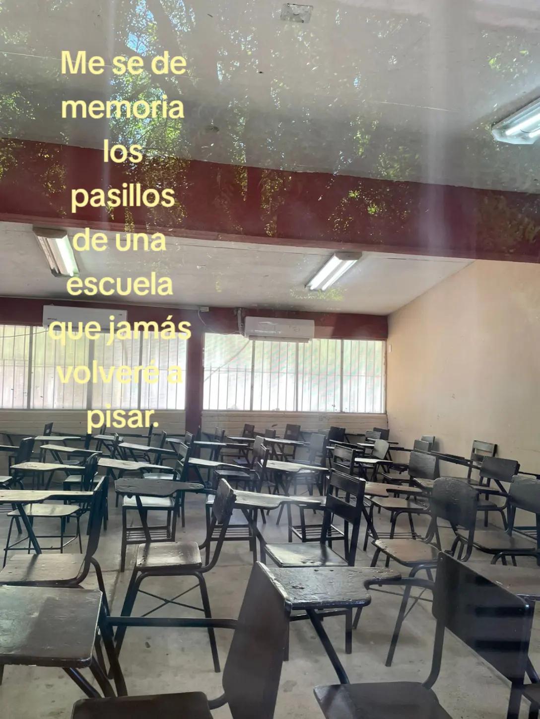 @camiluchiss