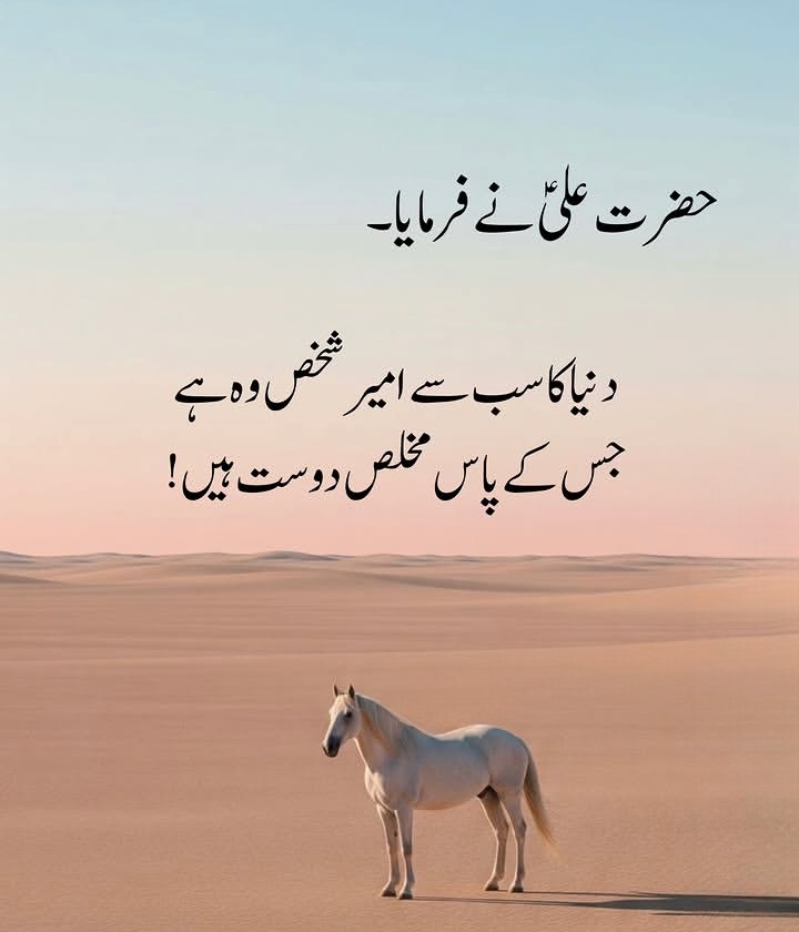 @Shahid Naz 🇮🇹
