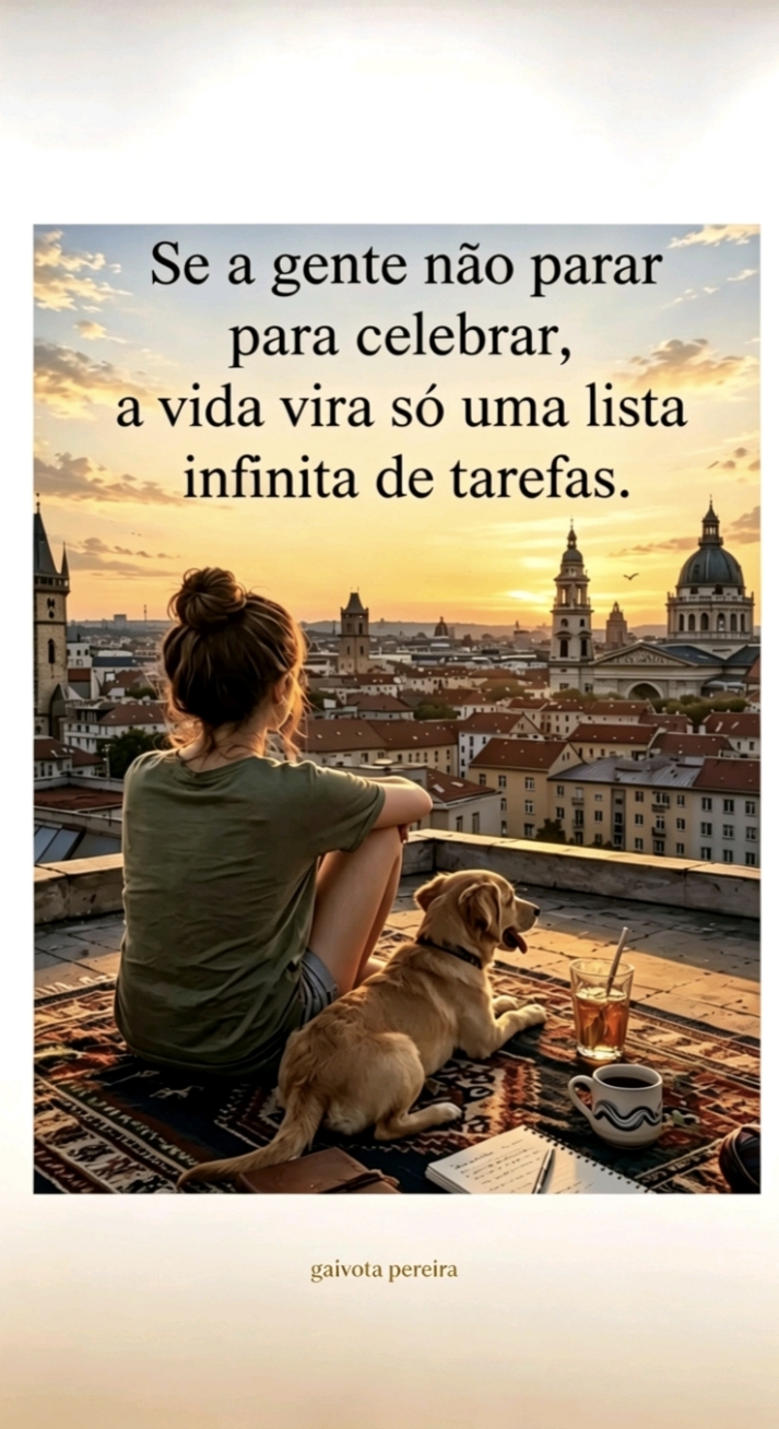 @Gaivota