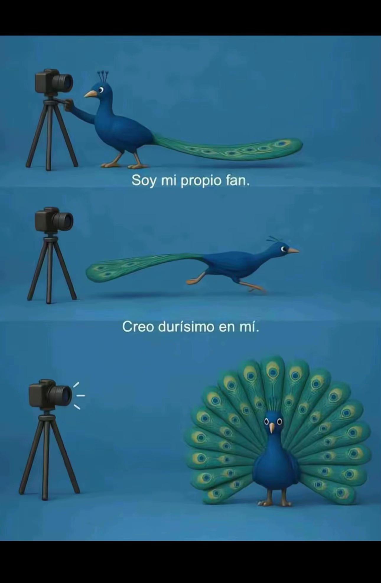 @Kevin Mairena