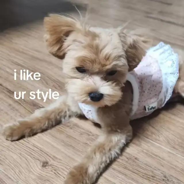 @ilumtit