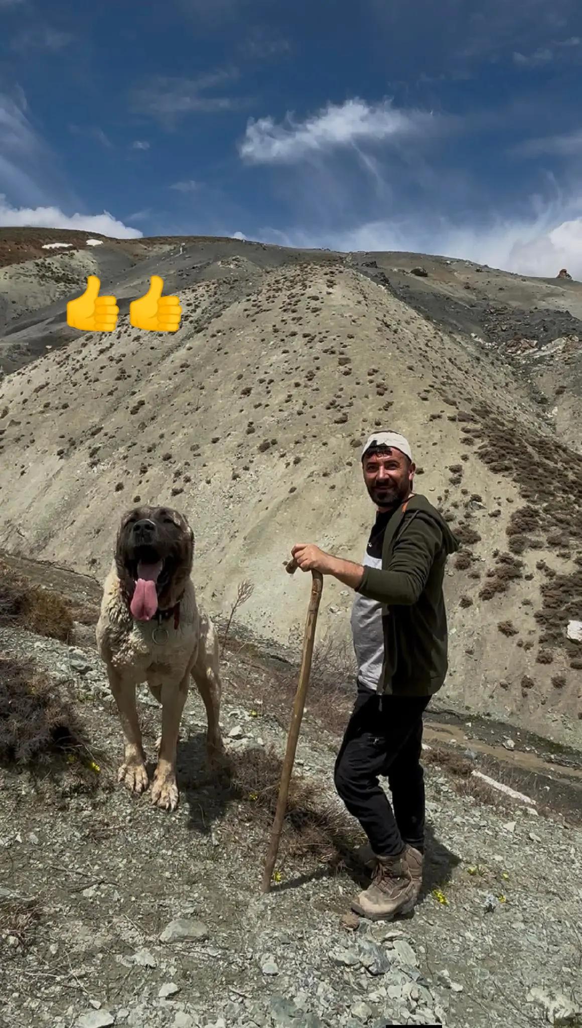 @Yusuf saldık