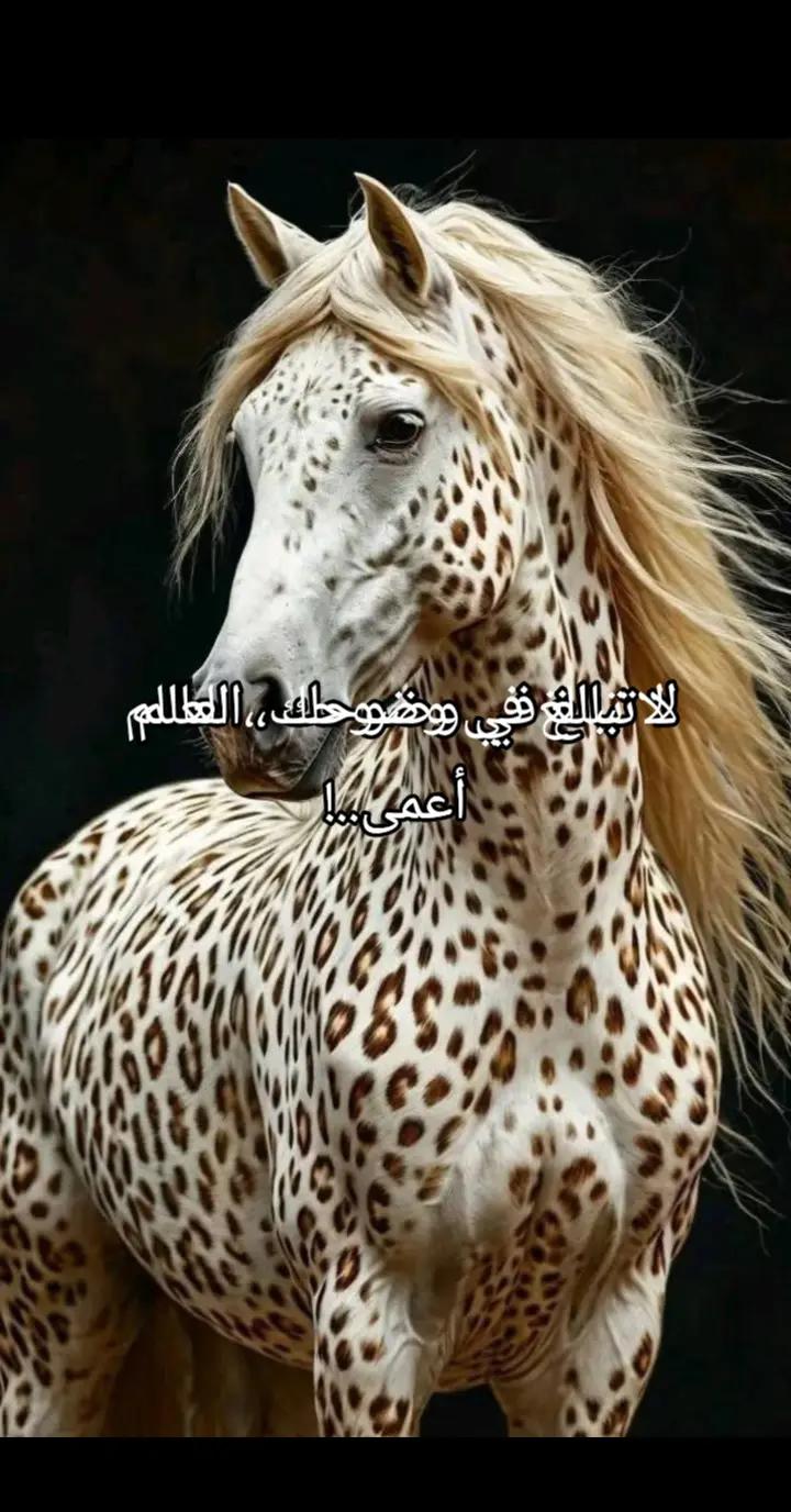 @ليلى فهد الشمالي