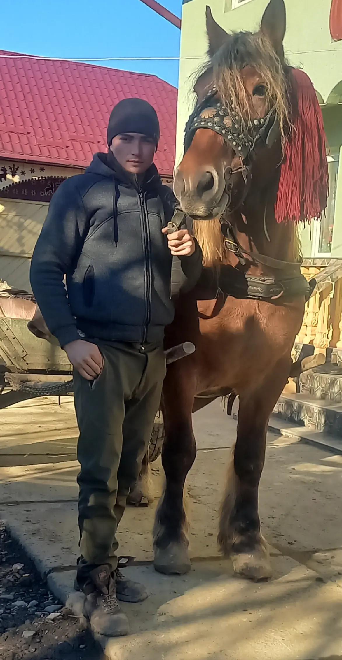 @Buga Ionuț