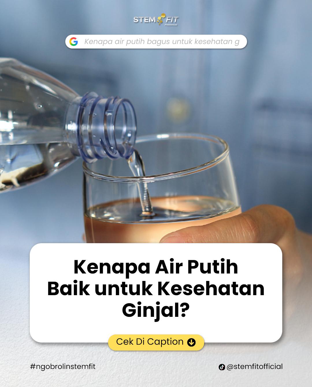@Stemfit Official
